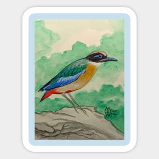 Blue-winged pitta on the rocks Sticker